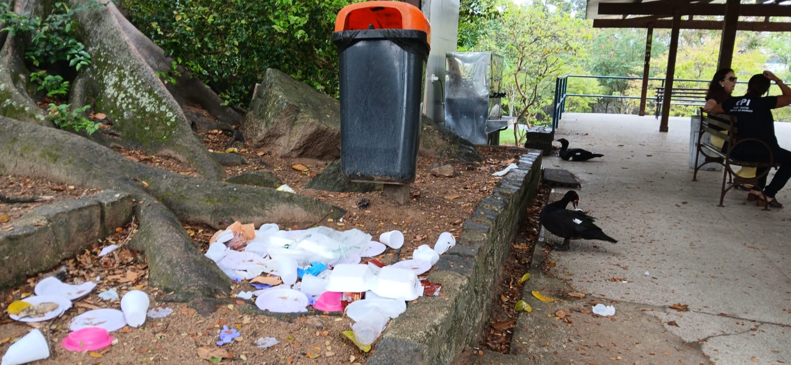 Lixo acumulado próximo a lixeira no Parque da Pedra da Cebola