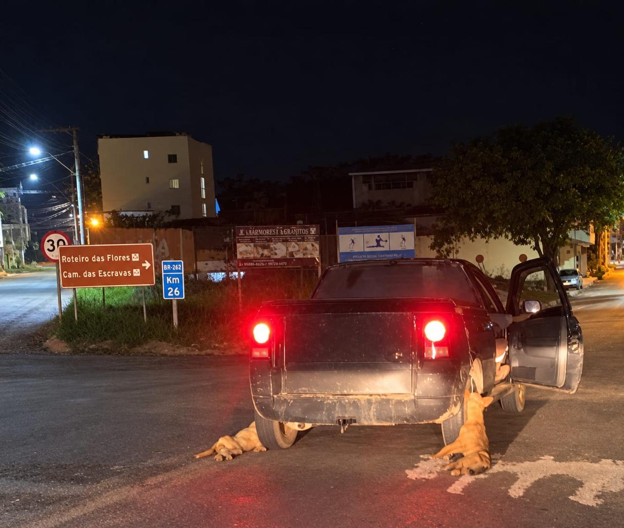CPI de Maus-tratos aos Animais identifica suspeitos de arrastar cães até a morte em caminhonete adaptada em Iúna, no Espírito Santo