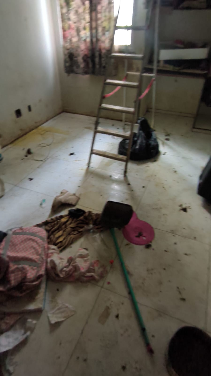 Resgate de animais pela CPI de Maus-tratos em Vila Velha