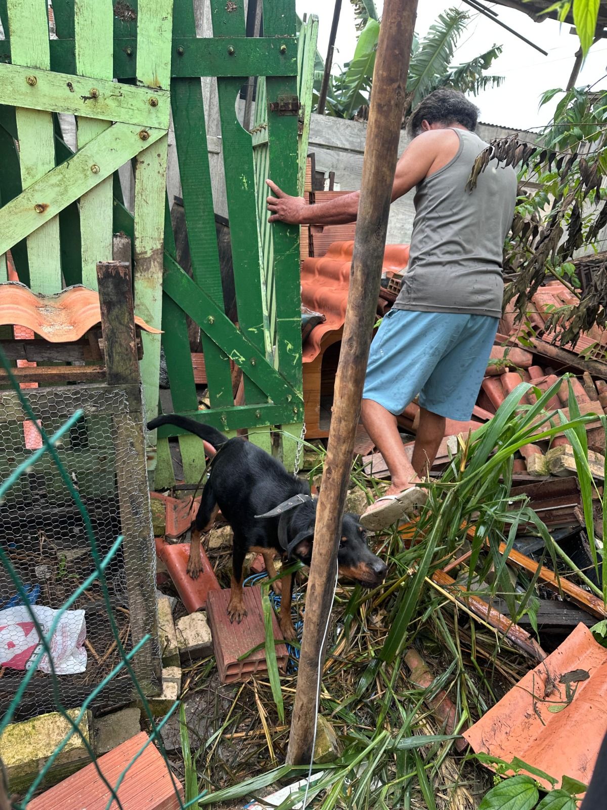 Cão acorrentado entre telhas, tijolos e entulhos no terreno baldio